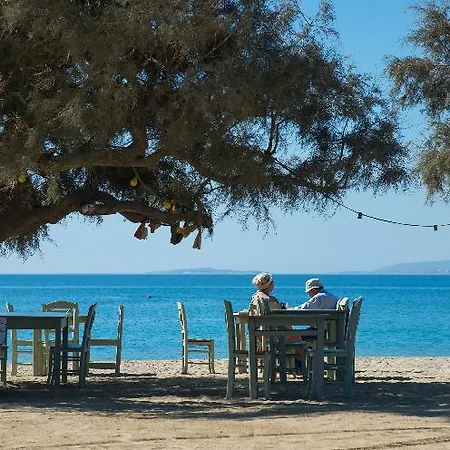 Naxos Rock Villas Ξενοδοχείο *